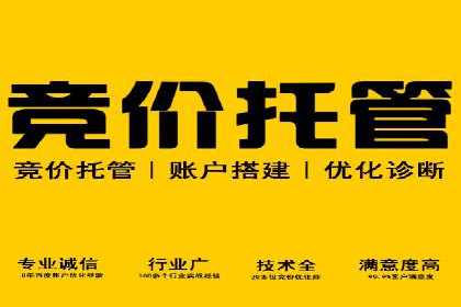 短视频平台的SEM营销推广策略及效果